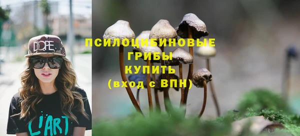 дживик Арсеньев