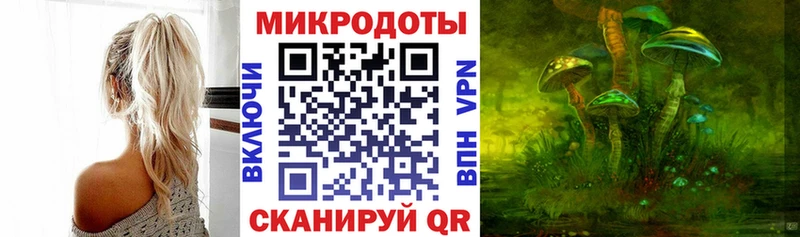 Псилоцибиновые грибы Cubensis Колпашево